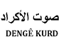 صورة  صحيفة صوت الأكراد's